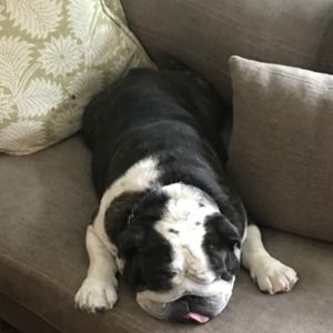 Meet your Posher, Tammy